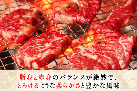 牛肉 和牛 長崎和牛 焼肉用 カルビ 約500g [黒牛 長崎県 東彼杵町 hs42bag750087]