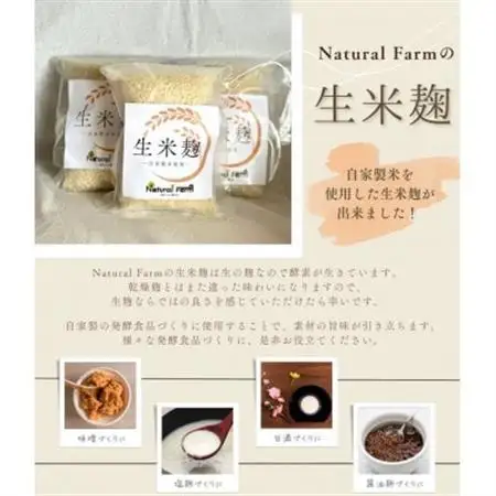 発酵ジェノベーゼソース＆生米麹　各1パックセット A0-71_  穀物加工品   調味料   _【配送不可地域：離島】【1619109】