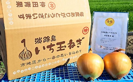 【先行予約！】【野菜ソムリエサミット金賞】淡路島玉ねぎ10kg【仲田青果の淡路島いち玉ねぎ】◆配送６月中旬～翌年２月下旬