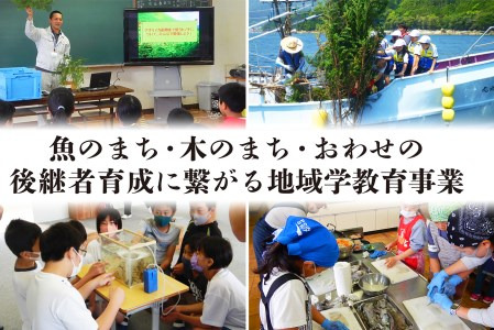 漁師町 尾鷲 からお届け！ 海の幸 大容量便 人気 6種 詰合せ ＜限定500セット＞ 大容量 小分け 冷凍 バラ凍結 たっぷり ストック 便利 新鮮 鮮魚 さけ しゃけ 鮭 サーモン アトランティックサーモン ぶり ブリ 鰤 たこ タコ 蛸 えび エビ 海老 バナメイエビ まぐろ マグロ 鮪 本マグロ ネギトロ ねぎとろ 漬け丼 三重県 尾鷲市 OW-10