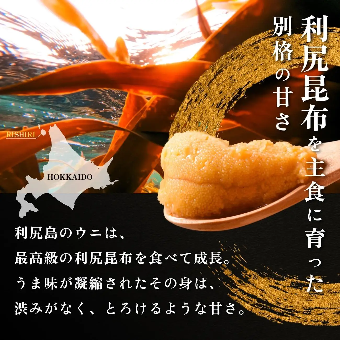 【只今★順次発送中】利尻島産 塩水うに90g+いくら醤油漬け 180gセット【2026年6月上旬 順次出荷】｜北海道 朝獲れ 塩水 ウニ 無添加 ミョウバン不使用 生 うに 雲丹 国産 天然 利尻 キタ ムラサキ [1110008]