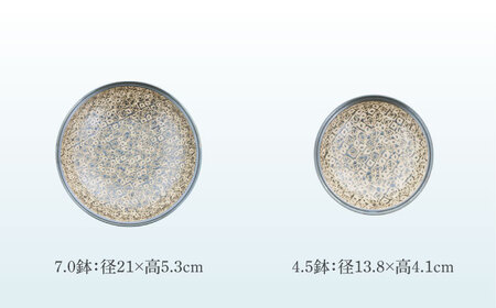 【美濃焼】シーズ seedsシリーズ 6点セット【カネ定製陶】　うつわ プレート セット[MEI118]