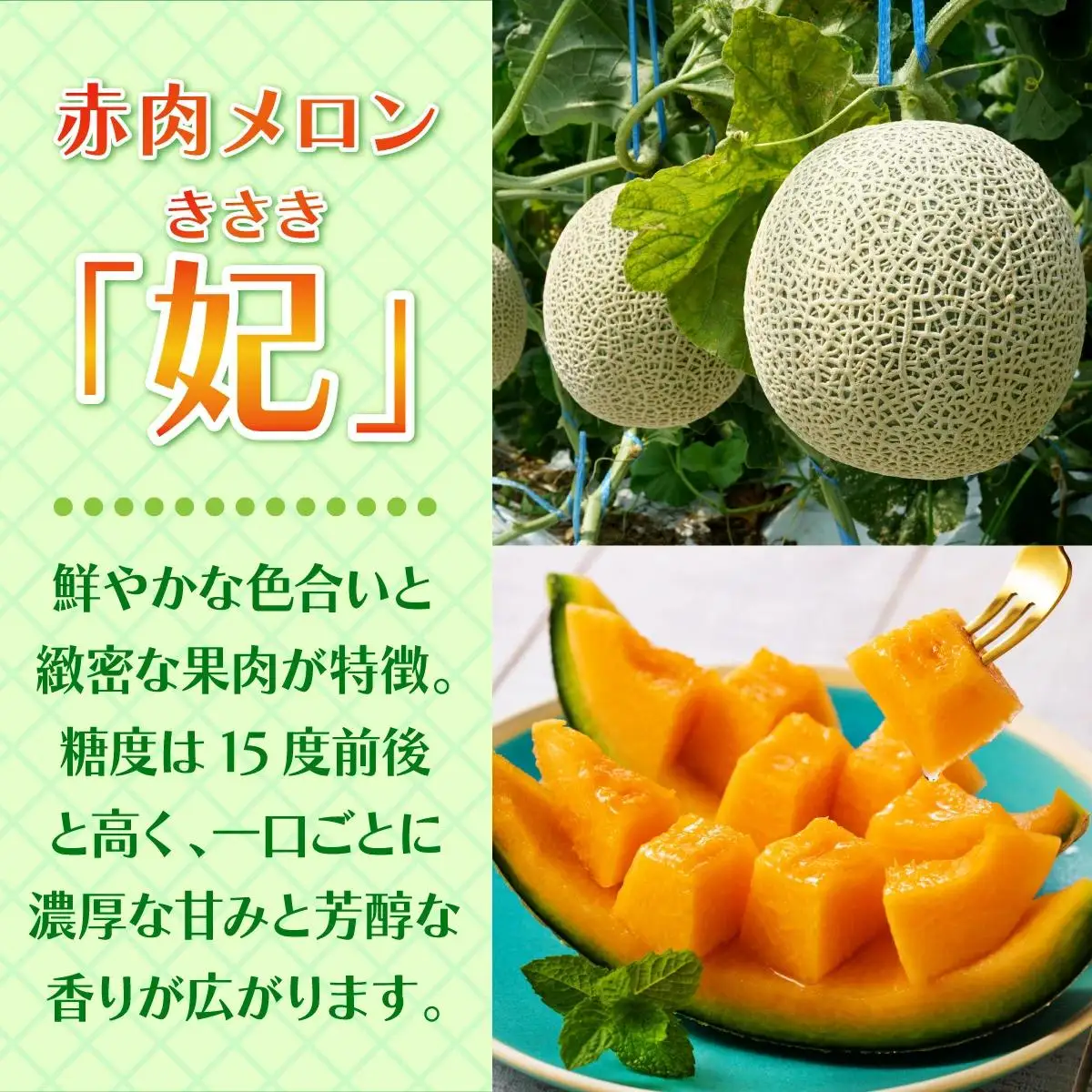 北海道産 赤肉メロン 2玉 約4kg