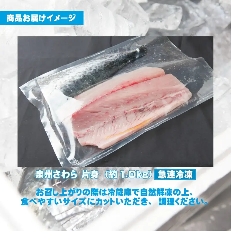 さわら 片身 1kg
