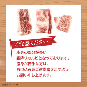 博多和牛　霜降りカルビ　約500g