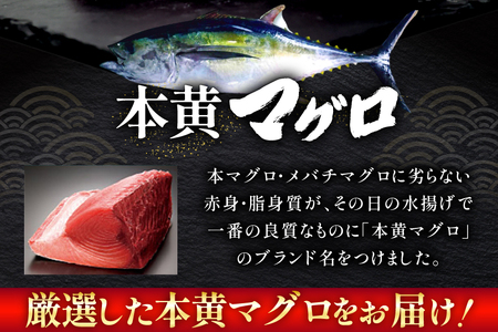 【期間限定発送】 マグロ 刺身 宮崎県産 天然 キハダマグロ 約500g [ミツイ水産 宮崎県 日向市 452061258]