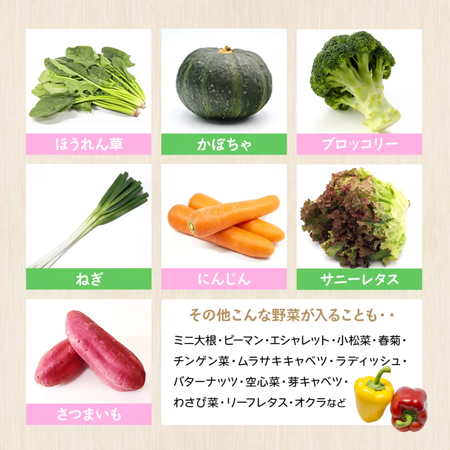 K2577 【定期便/3ヶ月連続お届け】さかいの採れたて 野菜セット(5～8種) 道の駅さかい おまかせ 産地直送 新鮮