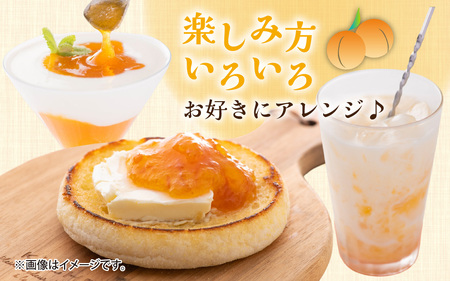 まるでフルーツ！希少な梅から「黄金の梅ジャム」12本 [D-178001] / 加工品 調味料 ジャム 季節ジャム パン ジャムティー ヨーグルト 料理 手造り 詰合せ