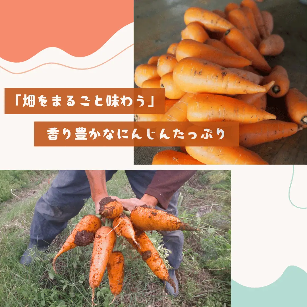 香り豊かなにんじんと玄米のスープ　6個入り［NK-123］