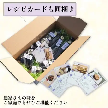 なす3~4種類おまかせ10本!(水なす・フルーツなす・千両なす・ふわとろ長なす)_野菜 茄子  なす ナス_【1613688】
