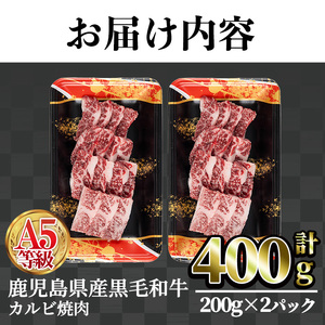 A5等級 鹿児島県産 黒毛和牛 カルビ 焼肉 (計400g・200g×2パック×1回)  黒毛和牛【LRプラスK】A749