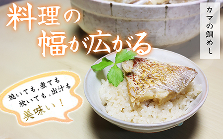 真鯛カマ 切り落とし 大満足 1kg 500g×2 パック 小分け 国産 希少部位 真鯛 マダイ 鯛 タイ たい ソテー 塩焼き 煮付け 鯛めし 人気 大満足 美味しい 魚介類 海鮮 バーベキュー BBQ 冷凍 肉厚 ふるさと納税 三重県 尾鷲市 OB-35