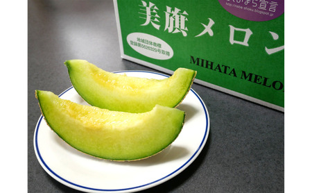 希少品　特選　美旗メロン　3L（青）2玉