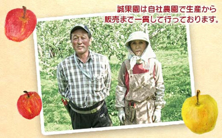 特選 (大玉) 青森産 完熟 りんご 約5kg サンふじ 王林 2種セット 【誠果園】 F21U-220