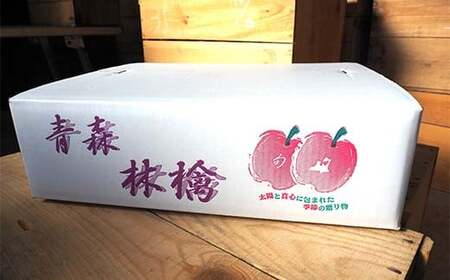 青森県 南部町産 りんご サンふじ 約5kg 【盛果園】 F21U-365