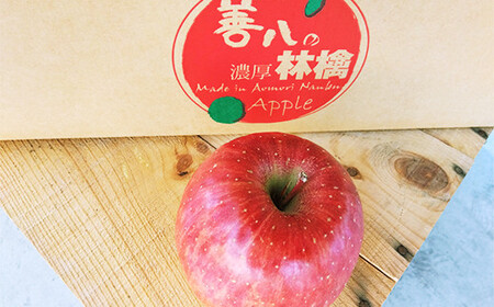 【訳あり】 青森県南部町産 濃厚りんご サンふじ （規格外品） 約5kg 【アグリーデザイン】 F21U-040