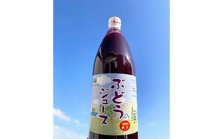 果汁100% ぶどうジュース (1000ml瓶×３本) 【森の菜園】 F21U-198