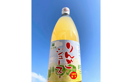 果汁100% りんごジュース (1000ml瓶×６本) 【森の菜園】 F21U-193