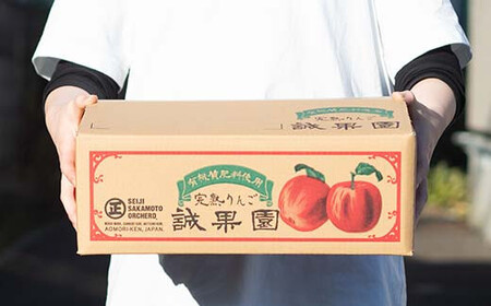 特選 (大玉) 青森産 完熟 りんご サンふじ 約3kg 【誠果園】 F21U-385