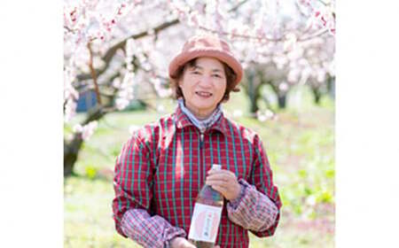 青森県 南部町の梅ジュース 「なんぶの梅」 (1000ml×3本) 【NPO法人 青森なんぶの達者村】 F21U-031