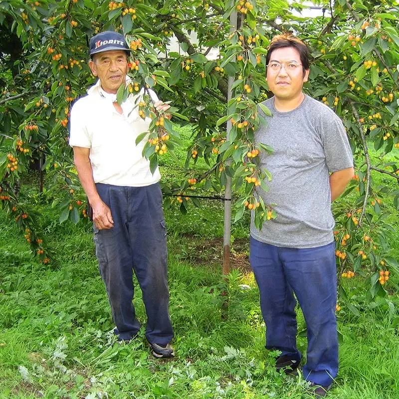 《農家直送》 さくらんぼ 「紅秀峰」 バラ詰め 約1kg 【四戸農園】 F21U-312