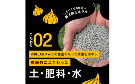 有機JAS認証にんにくの黒にんにく 中玉（Mサイズ） 7～9個入り 【和楽堂りんご養生農苑】 オーガニック 無農薬 F21U-463