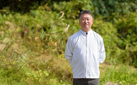 柿ドライフルーツ 南部の柿の物語 4袋セット 【なんぶ農援】 柿 かき フルーツ 果物 くだもの あおもり 青森 青森県 南部町 三戸 南部  デザート 果実 食品 F21U-519