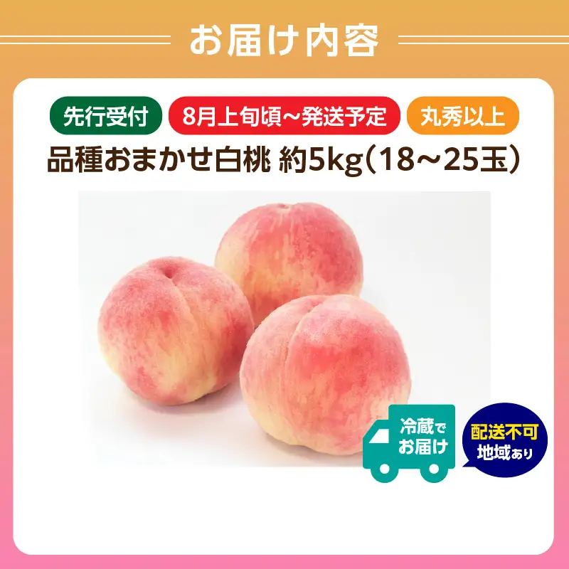 《先行受付》品種おまかせ 白桃 約5kg【丸秀以上】 （18～25玉）【2026年8月上旬頃～発送予定】 001-101