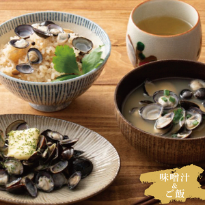 【6ヶ月定期便】涸沼産冷凍しじみ中粒３kg（100g×30p）（CA-19）