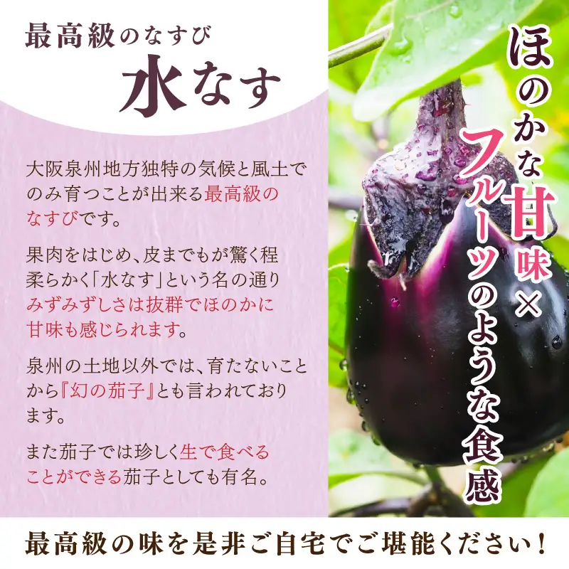 泉南銘産 水なす調味液漬け 水なす花子 12袋【042D-024】
