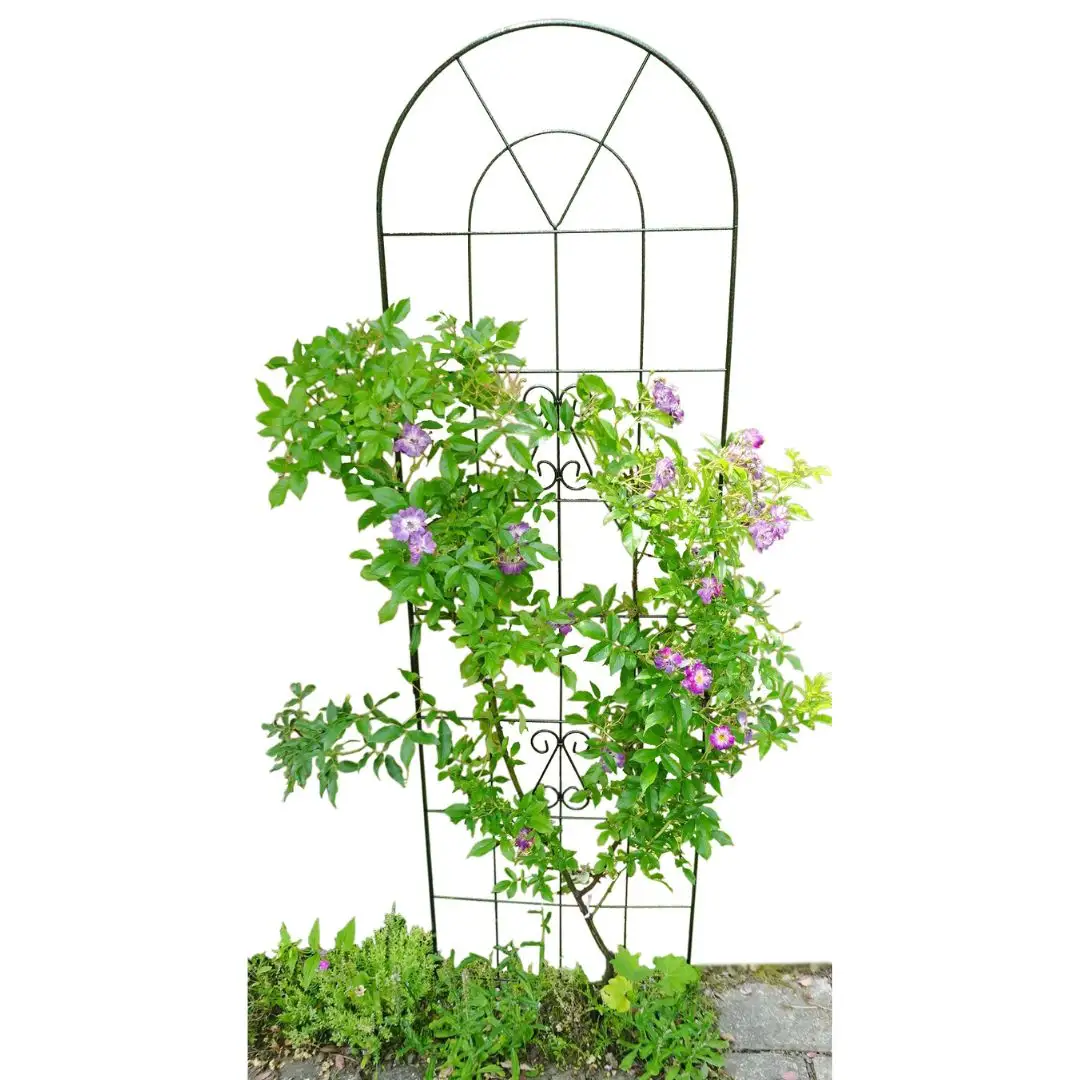 ダブルワイヤーフェンス ガーデンフェンス 植物 ガーデニング用品 園芸用品 庭園 花 燕三条製 [株式会社オビタス] 【018S095】