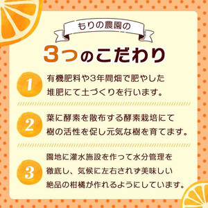 とろけるような完熟ハウスみかん1.3キロ＜7月1日～順次発送＞ドルチェみかん フルーツ 柑橘 果物 産直