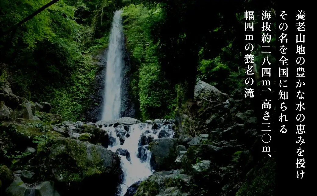 醴泉（れいせん）　特別純米・純米吟醸　特等山田錦飲み比べセット　玉泉堂酒造 加東市特A地区 東条産山田錦使用 日本酒 酒 四合瓶
