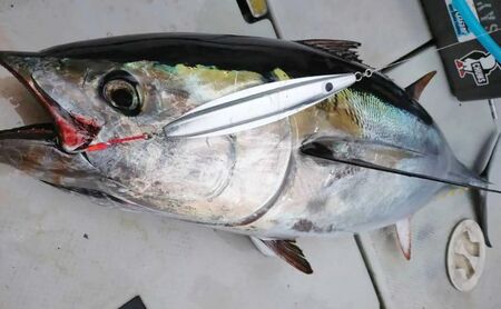 シリテンジグ220エンペラー　７本セット