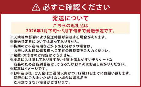 【5か月連続定期便】『まるで太陽の恵みをそのまま閉じ込めたような真っ赤な大玉トマト』約3.5kg×5回 計17.5㎏ 特別な定期便 （熊本県産） 【2026年1月下旬発送開始】野菜 やさい トマト とまと 大玉トマト