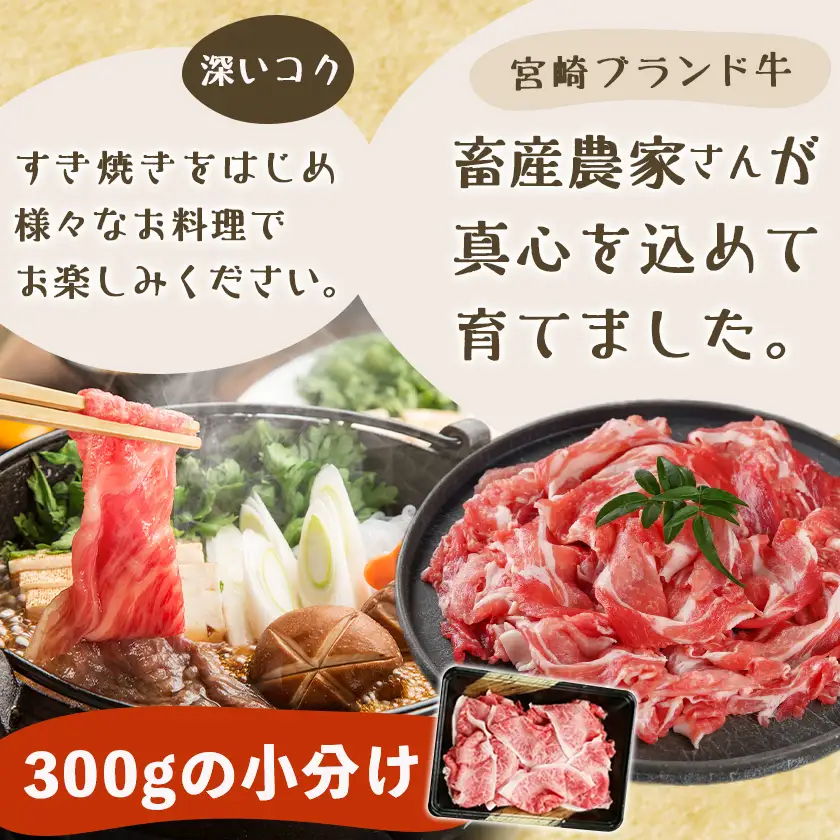 きのこ餃子48個&宮崎牛(A5)霜降り切り落し600g〔AD-8701〕_(都城市) ギョウザ 12個入り 4パック 椎茸 きくらげ 都城産ブランド豚 きなこ豚 きゃべつ ニラ ニンニク使用 ヘルシー餃子 大杉しいたけ園 都城産宮崎牛 切り落し 肩 バラ 霜降り