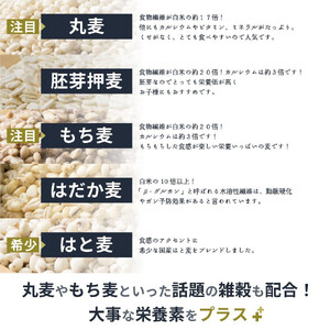 国産麦5種ブレンド 2.4kg(400g×6袋)