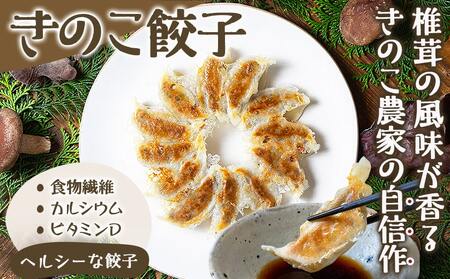 きのこ餃子48個&宮崎牛(A5)霜降り切り落し300g_18-8701_(都城市) ギョウザ 12個入り 4パック 椎茸 きくらげ 都城産ブランド豚 きなこ豚 きゃべつ ニラ ニンニク使用 ヘルシー餃子 大杉しいたけ園 都城産宮崎牛 切り落し 肩 バラ 霜降り