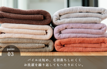 （今治タオルブランド認定）BATHLIER 37 サウナタオル（70×140cm）2枚セット　ライトグレー【I003380BT2LGY】