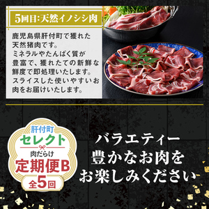 【E90002】＜定期便・全5回＞肝付町セレクト定期便《肉だらけ定期便B》 鹿児島 牛肉 黒毛和牛 豚肉 黒豚 鶏肉 唐揚げ 味付け 定期便 セレクト 加工品 肉加工品 簡単調理 冷凍 冷凍食品 【株式会社きもつき未来商社そらまち】