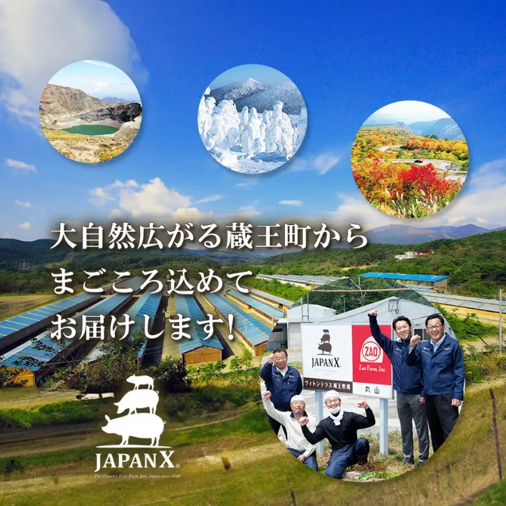 JAPAN X 豚小間 切り落とし/計3kg　【04301-0067】豚肉