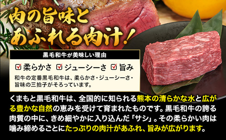 黒毛和牛 外モモ 赤身 ローストビーフ用 ブロック 500g ローストビーフ用《30日以内に出荷予定(土日祝除く)》