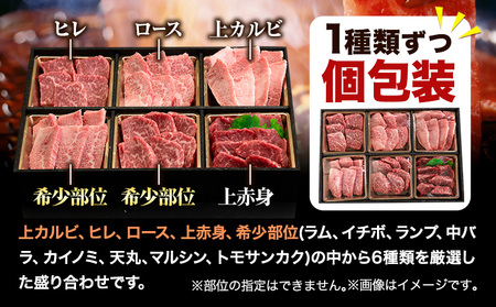 くまもと黒毛和牛6種食べ比べ　500g 《30日以内に出荷予定(土日祝除く)》