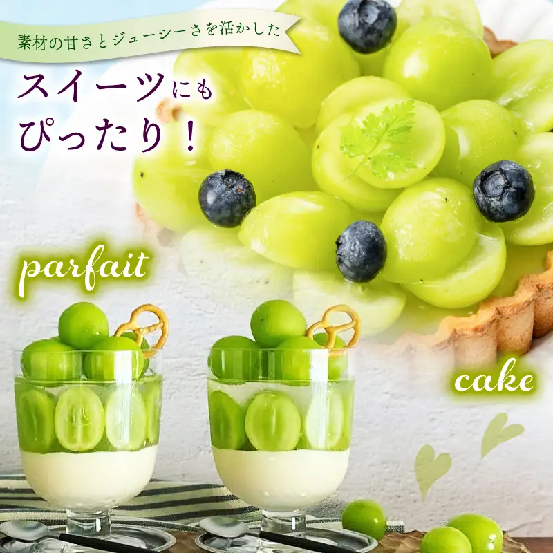【シャインマスカット】 大粒 先行予約 500g 1房 シャインマスカット