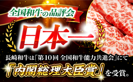 長崎和牛 サーロイン ステーキ 計800g ＜大西海ファーム食肉加工センター＞ CEK192 ステーキ