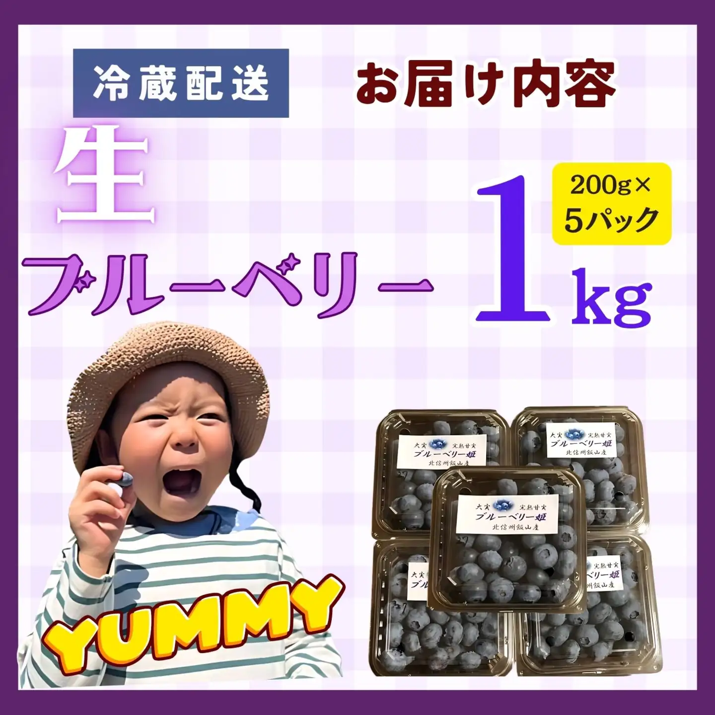 《生》ブルーベリー １kg 【2026年7月より発送 先行予約】 Br-002