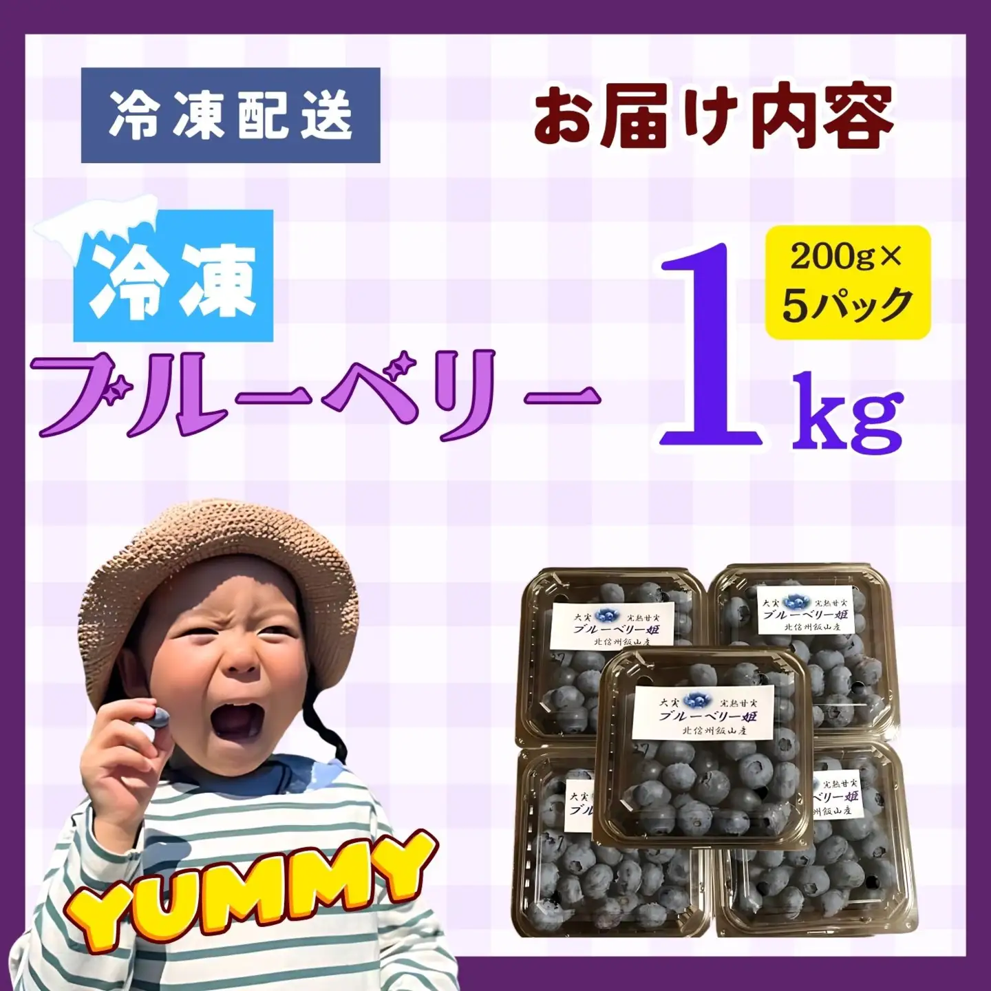ブルーベリー １kg 【冷凍】【2026年7月より発送 先行予約】Br-003