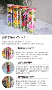 【パープル】プリザーブドフラワー メルティ 高さ約16cm