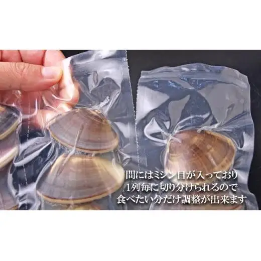 C04-E01 千葉県産ボイルハマグリ 6kg（小~中サイズ）
