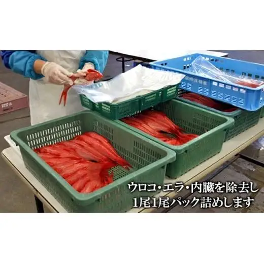C01-E05 金目鯛の煮つけ（4尾入り）